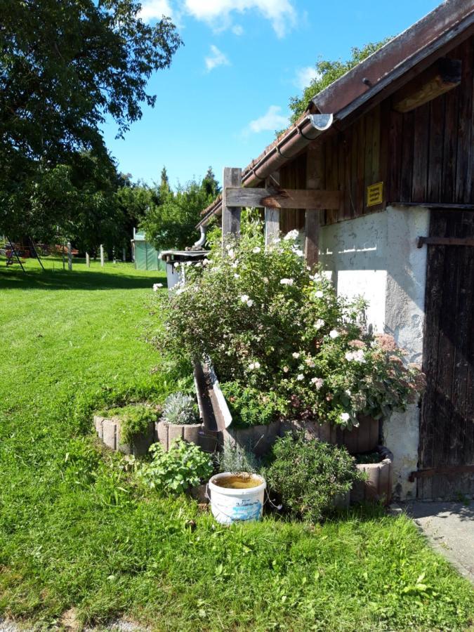 Ferienwohnung Im Seidlerhof Mit Balkon Und Garten รอห์นบาค ภายนอก รูปภาพ
