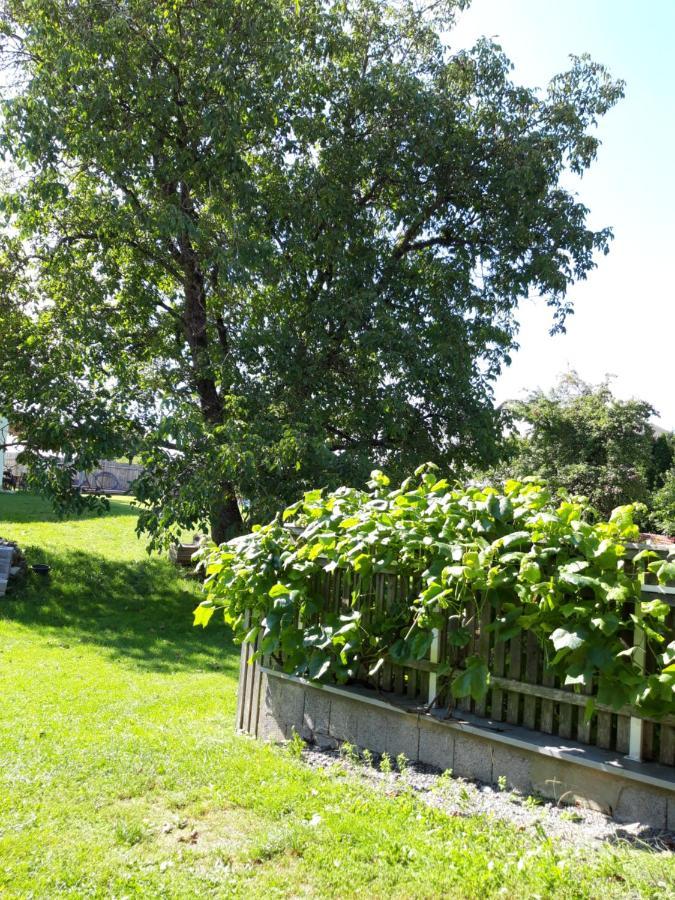 Ferienwohnung Im Seidlerhof Mit Balkon Und Garten รอห์นบาค ภายนอก รูปภาพ