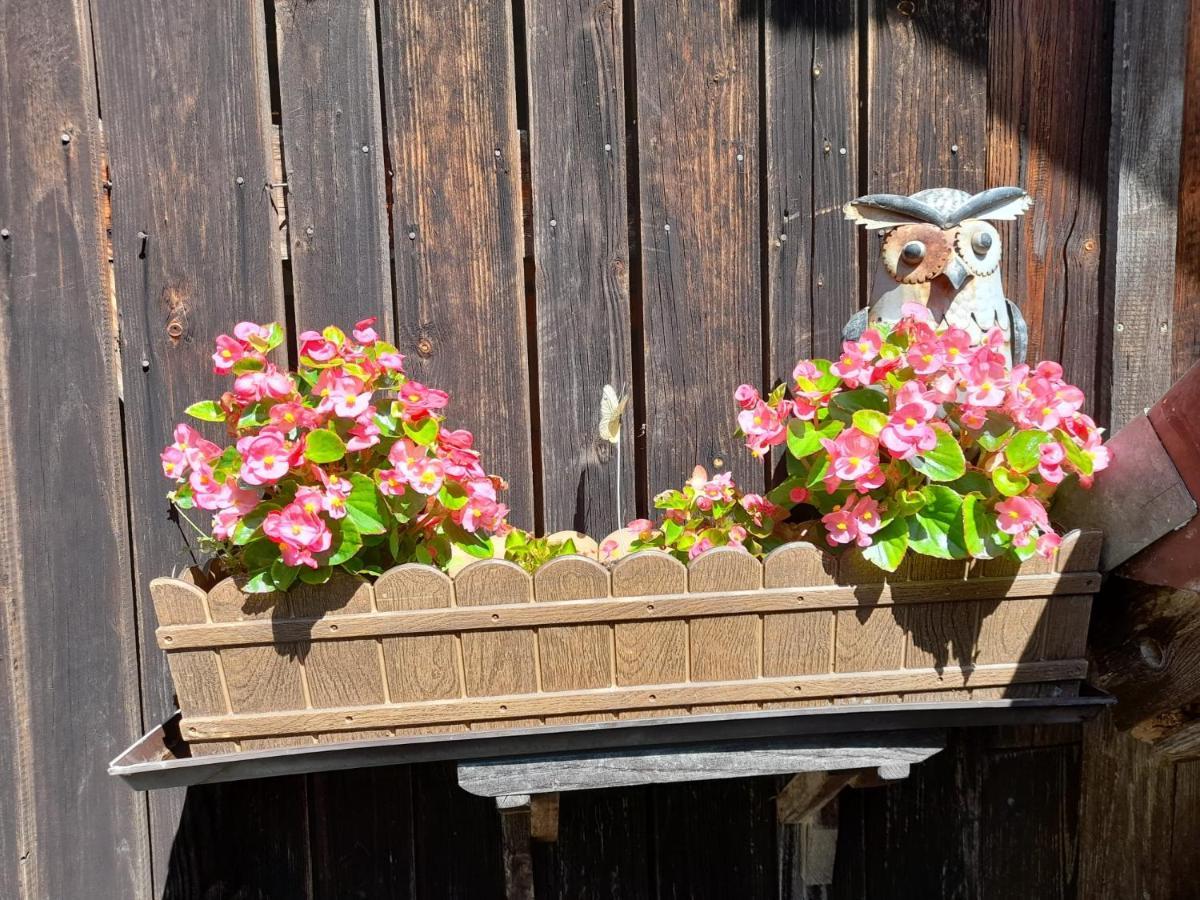 Ferienwohnung Im Seidlerhof Mit Balkon Und Garten รอห์นบาค ภายนอก รูปภาพ