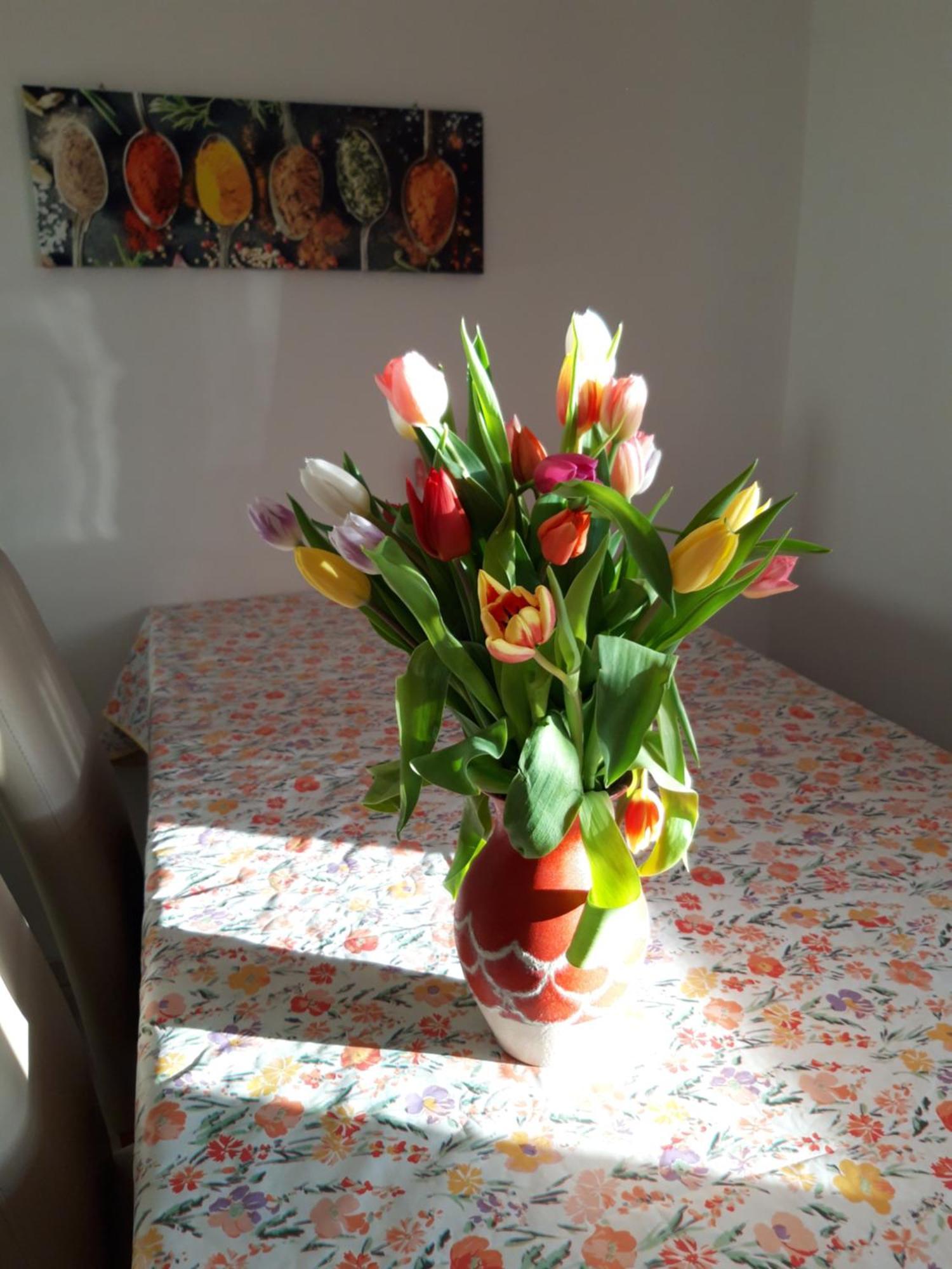Ferienwohnung Im Seidlerhof Mit Balkon Und Garten รอห์นบาค ภายนอก รูปภาพ